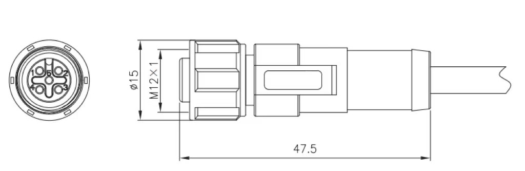 M12 female molded type connector drawing