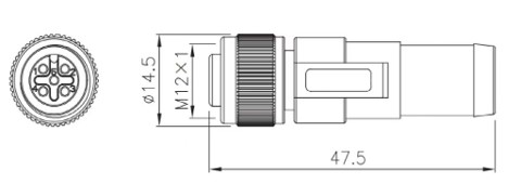 M12 female Ohm terminal Plug