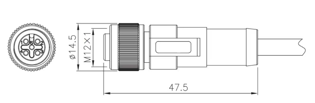 M12 female molded type connector drawing