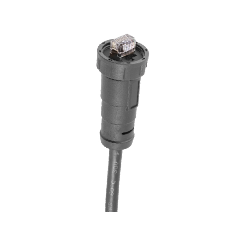 RJ45 MOLDED CONNECTOR 主图