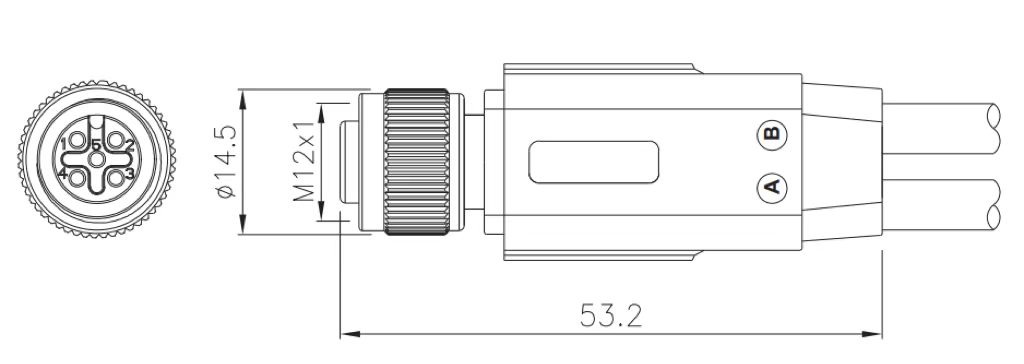 M12 female y cable molded type connector drawing